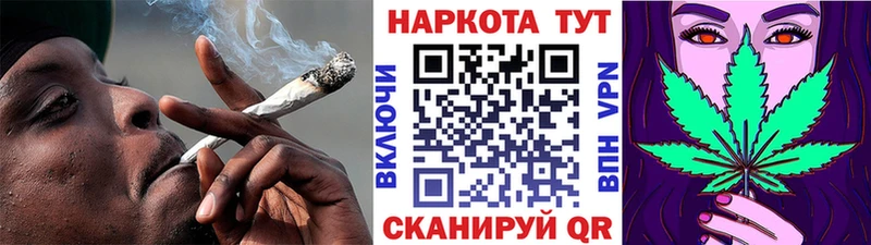 Как найти наркотики Сегежа Alpha-PVP  МЕФ  Канабис  АМФ  Кокаин 