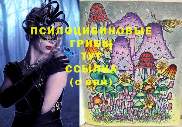 герыч Белокуриха