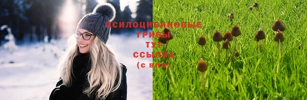 ешки Беломорск