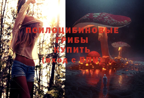 ешки Беломорск