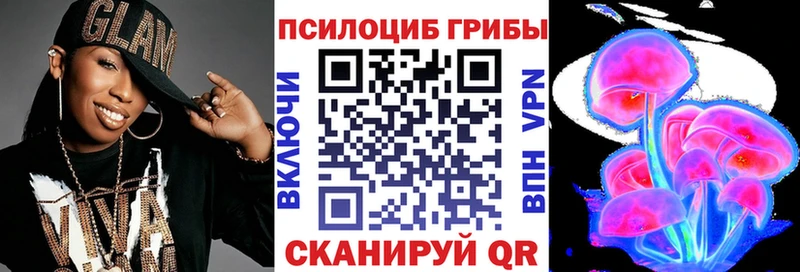 дарнет шоп  Сегежа  гидра ссылки  Галлюциногенные грибы MAGIC MUSHROOMS 