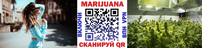 где найти наркотики  Сегежа  Шишки марихуана индика 